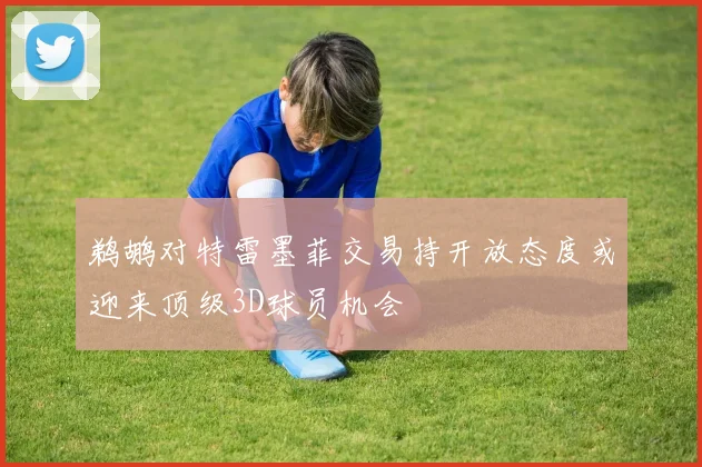 鹈鹕对特雷墨菲交易持开放态度或迎来顶级3D球员机会
